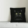 thumbnail image 3 of Creative Products Scaredy Cat 18x18 Spun Poly Pillow, 3 of 3