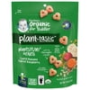 Gerber Organic for Toddler Plant-tastic PlantsYum Hearts, Lentil Banana Carrot Raspberry, 1.48 OZ (Pack of 2)