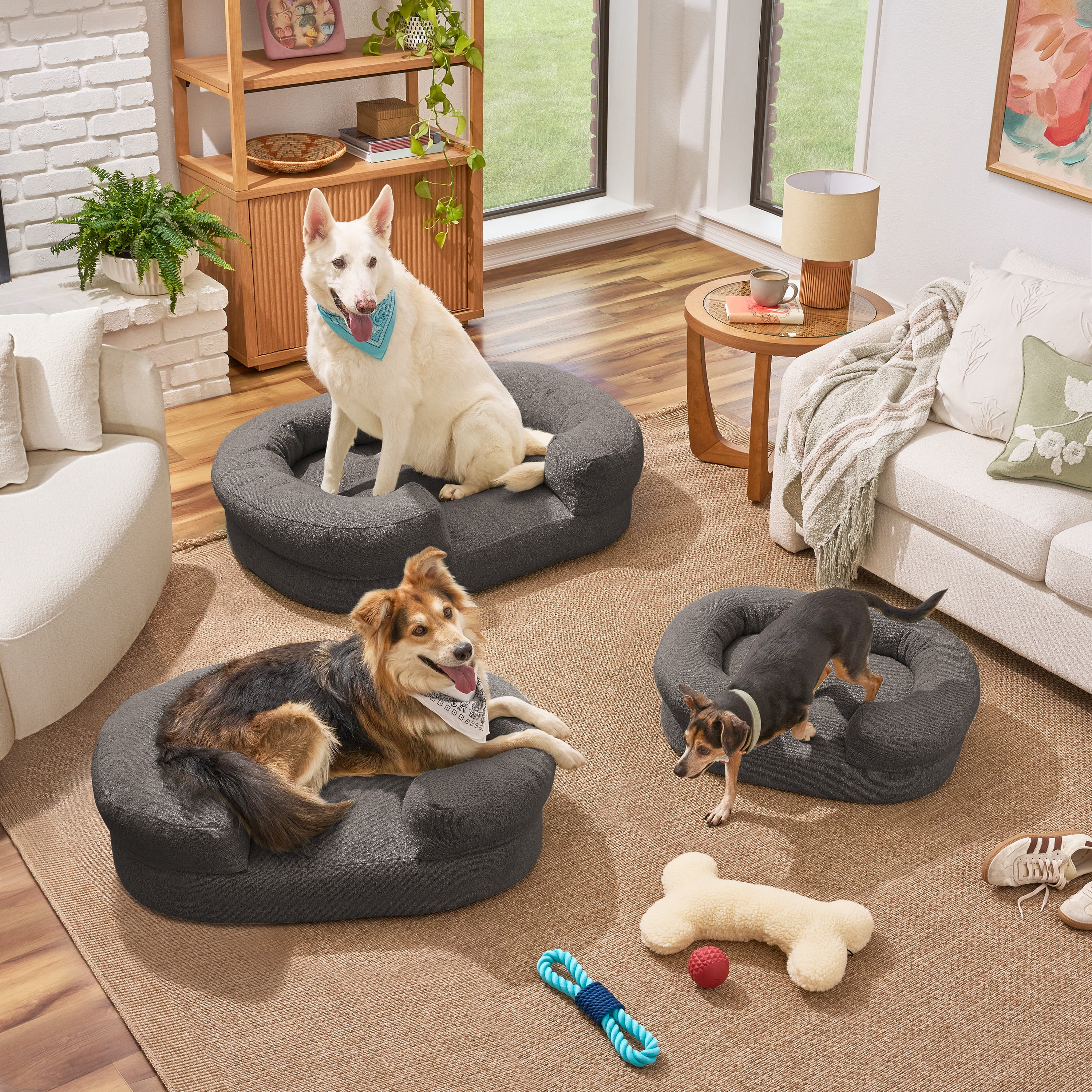 Beautiful Bolster Medium Pet Bed, 36 x 24 x 12in, Charcoal by Drew Barrymore