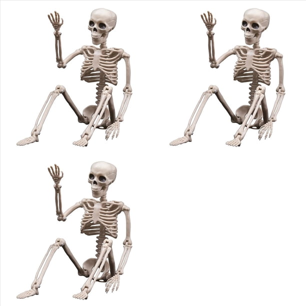 3X Decoraciones de Esqueletos de Halloween, Esqueleto de Plástico Articulado, Esqueleto de Cuerpo Completo con Articulaciones Móviles