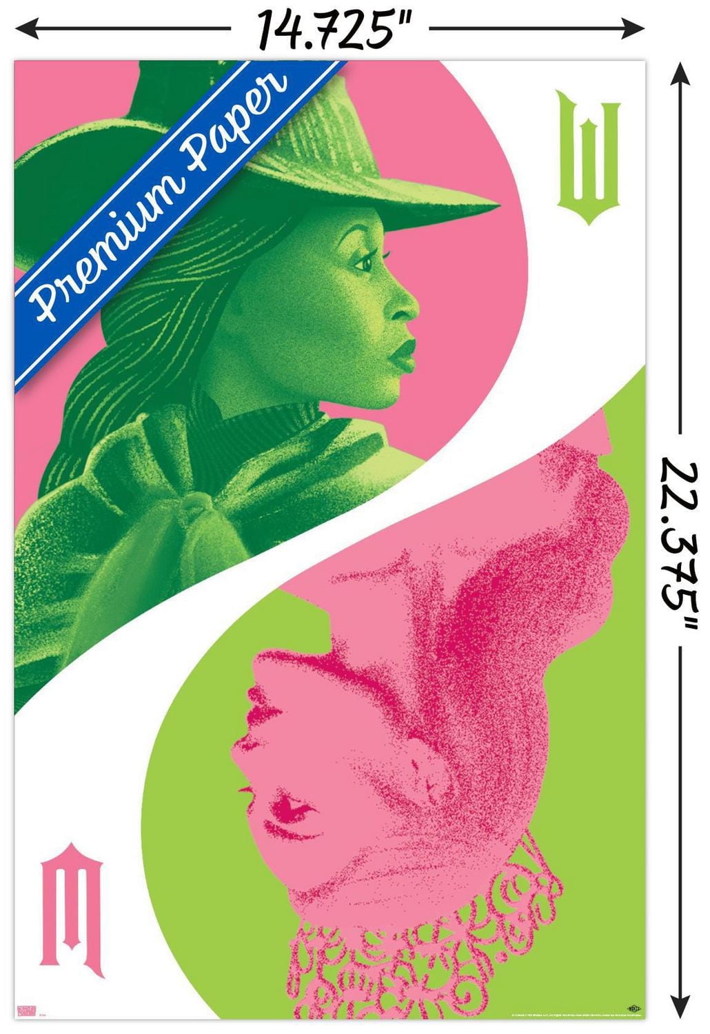 Wicked - Reflection Wall Poster with Push Pins, 22.375" x 34"