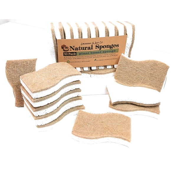 Graham & Ash Co Natural Kitchen Sponge - Biodegradable Compostable Cellulose and Coconut Scrubber - Pack of 10 Eco Friendly Sponges