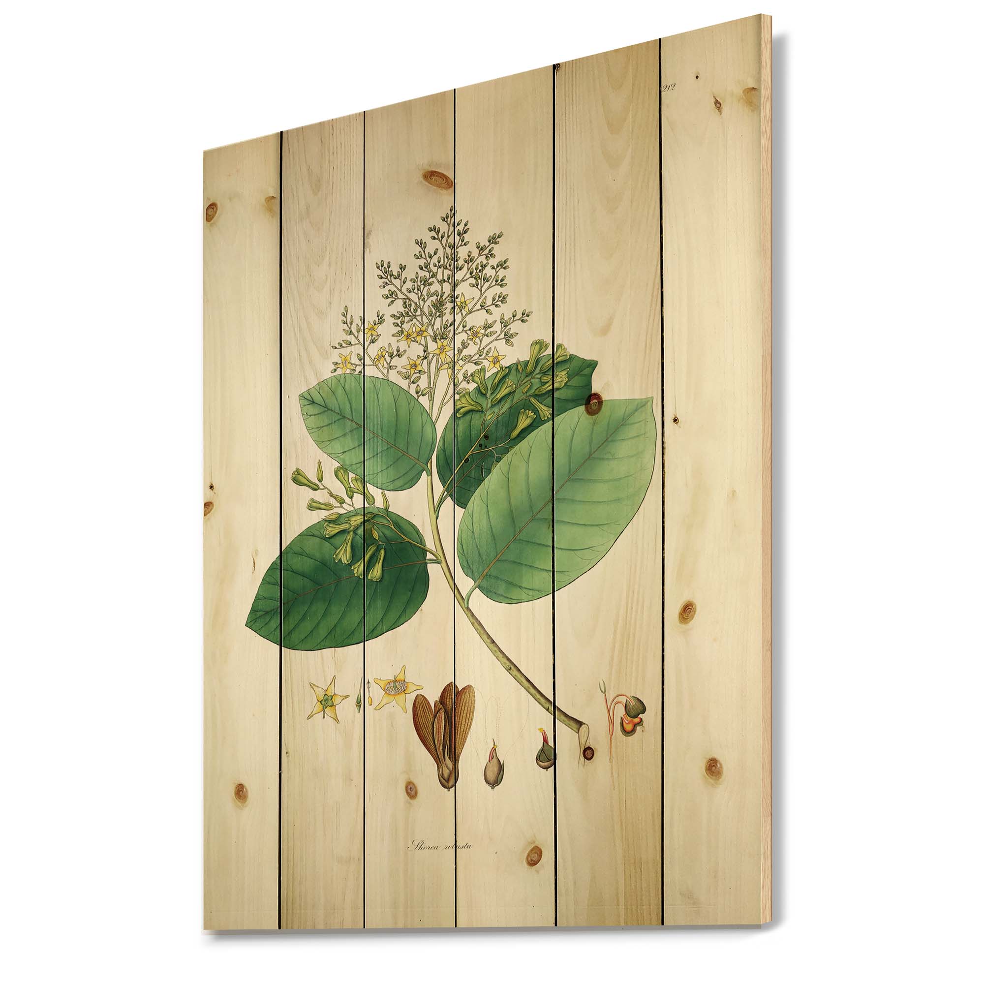 Designart 'Ancient Botanicals III' Farmhouse Print on Natural Pine Wood