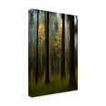 thumbnail image 3 of Bjorn Emanuelson 'Autumn Leaves Yellow' Canvas Art, 3 of 4