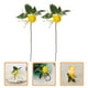 thumbnail image 1 of BESTYASH 3Ud Ramas De Artificial Amarillo Para Decorar Centros De En Eventos, 1 of 8