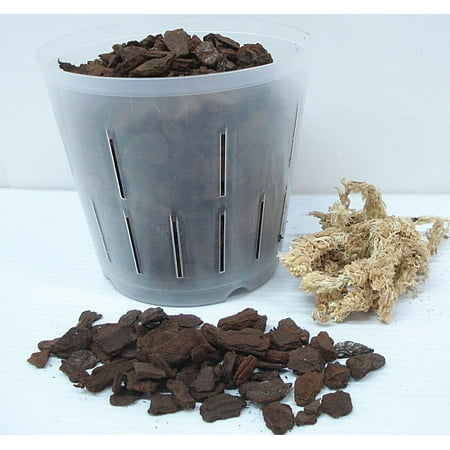 - All In One, Everything Needed To Repot Your Orchid - Large Bark - 6 inch pot
