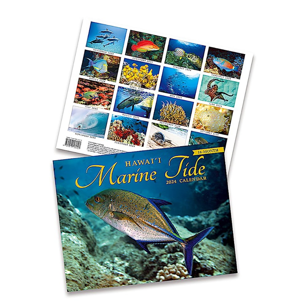 16 Month Trade 2025 Calendar November 2023 February 2025 Marine Tide