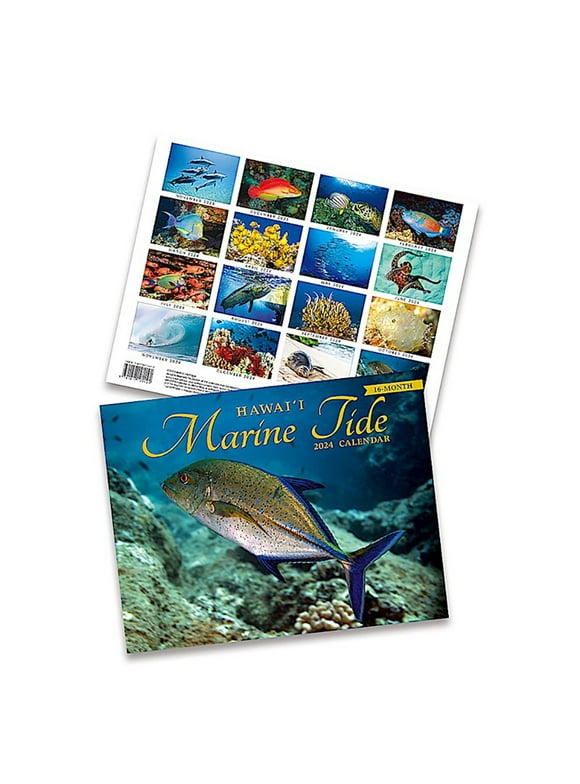 16 Month Trade 2024 Calendar November 2023 - February 2025 Marine Tide Hawaii
