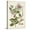 Canvas, variant on Art.com Vintage Flowering Trees III Art Print by 0 Unknown, 12" x 16"