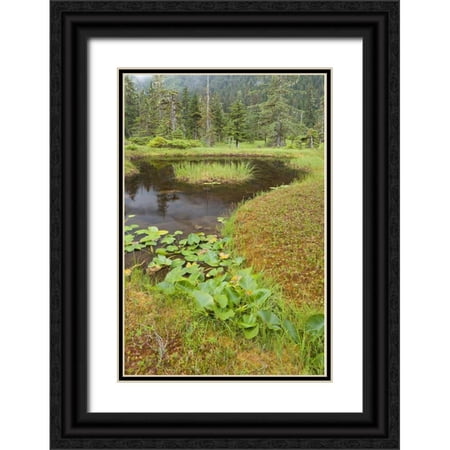Paulson, Don 23x32 Black Ornate Wood Framed with Double Matting Museum Art Print Titled - Alaska, Admiralty Island Pond and forest