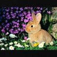 thumbnail image 2 of CafePress - Bunny In Flowers Maternity Dark T Shirt - Maternity Dark T-Shirt, 2 of 3