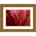 thumbnail image 1 of Murdock, Ramona 14x11 Gold Ornate Wood Framed with Double Matting Museum Art Print Titled - Peonia Insight II, 1 of 4