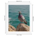 thumbnail image 2 of Paint By Numbers Kit for Adults Beginner - DIY Pigeon Perched On Rocky Shoreline Canvas Painting Kits for Adults, Frameless Paint By Number for Adults for Home Wall Decor 16x20 Inch, 2 of 7
