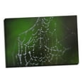 thumbnail image 2 of Gango Home Decor Dewy Web II by Erin Berzel (Ready to Hang); One 36x24in Hand-Stretched Canvas, 2 of 4