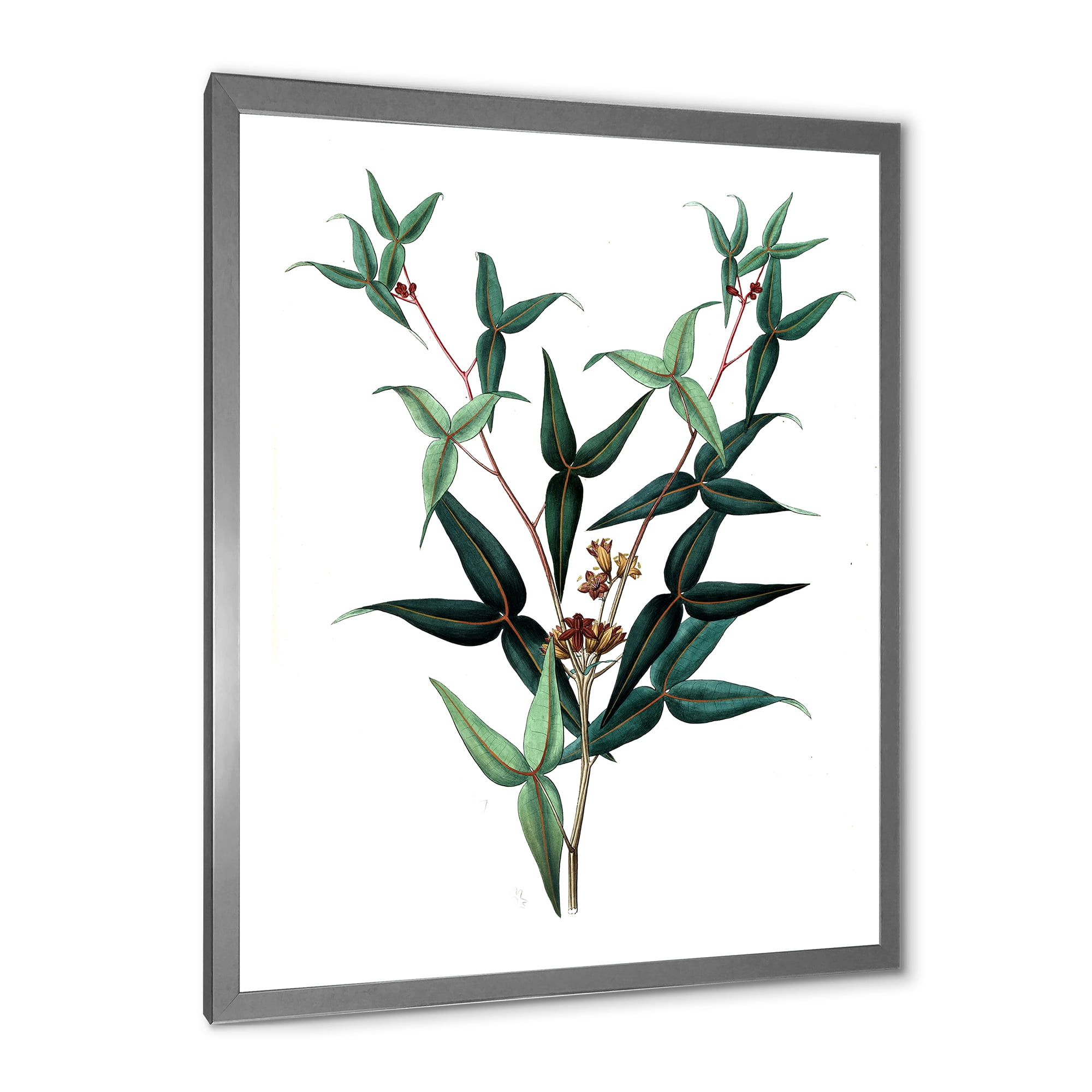 Designart 'Ancient Green Leaves Plants VIII' Traditional Framed Art Print