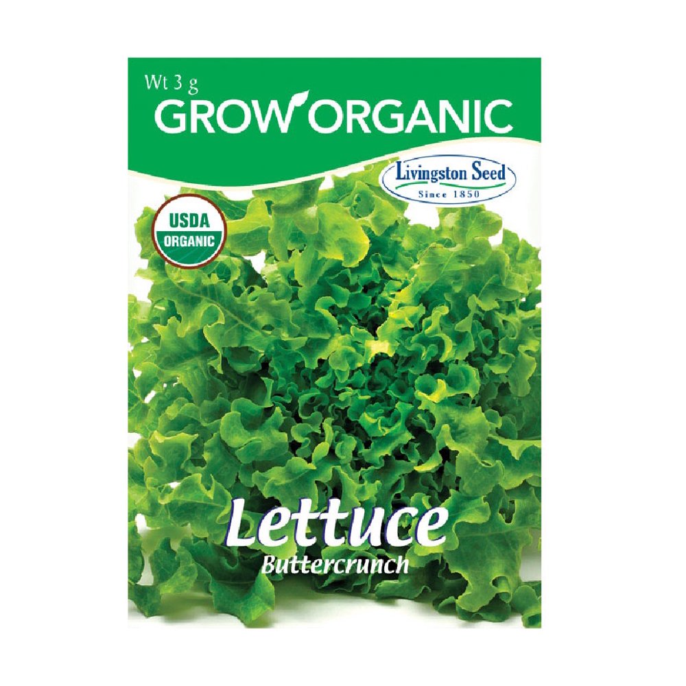Livingston Seed Y7085 Lettuce Buttercrunch Plantation Vegetable, 3g