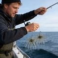 thumbnail image 4 of BotaniNest 2Pcs Simulation Urchins Swimming Slow Floating Soft Urchins Soft (6 Styles), 4 of 5