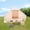 Beige + oxford fabric-2, variant on Inflatable Camping Tents with Hand Pump, Air Glamping Tents, Easy Setup Waterproof and Windproof Blow up Tent, 4 Seasons Oxford Cabin Tent with Mesh & Chimney Window.
