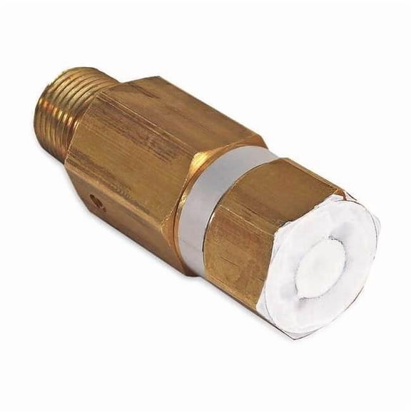 Mi-T-M Pressure Relief Valve 22-0273