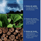 thumbnail image 4 of Perfume Bleu Intense L'bel para Hombre 100 ml, 4 of 5