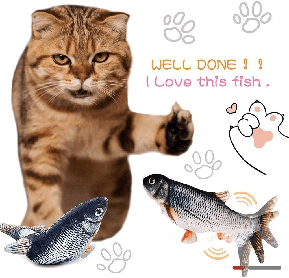 Cat & fish cheap