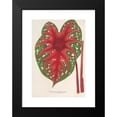 thumbnail image 2 of Charles Antoine Lemaire 11x14 Black Modern Framed Museum Art Print Titled - Caladium Lead Adolphe De Nassau (1854-1896), 2 of 5