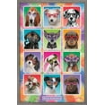 thumbnail image 1 of Keith Kimberlin - Chiots - Lunettes de soleil, 1 of 4