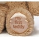 thumbnail image 3 of GUND Baby My First Teddy Bear, Ultra Soft Animal Plush Toy for Babies and Newborns, Tan, 10”, 3 of 5