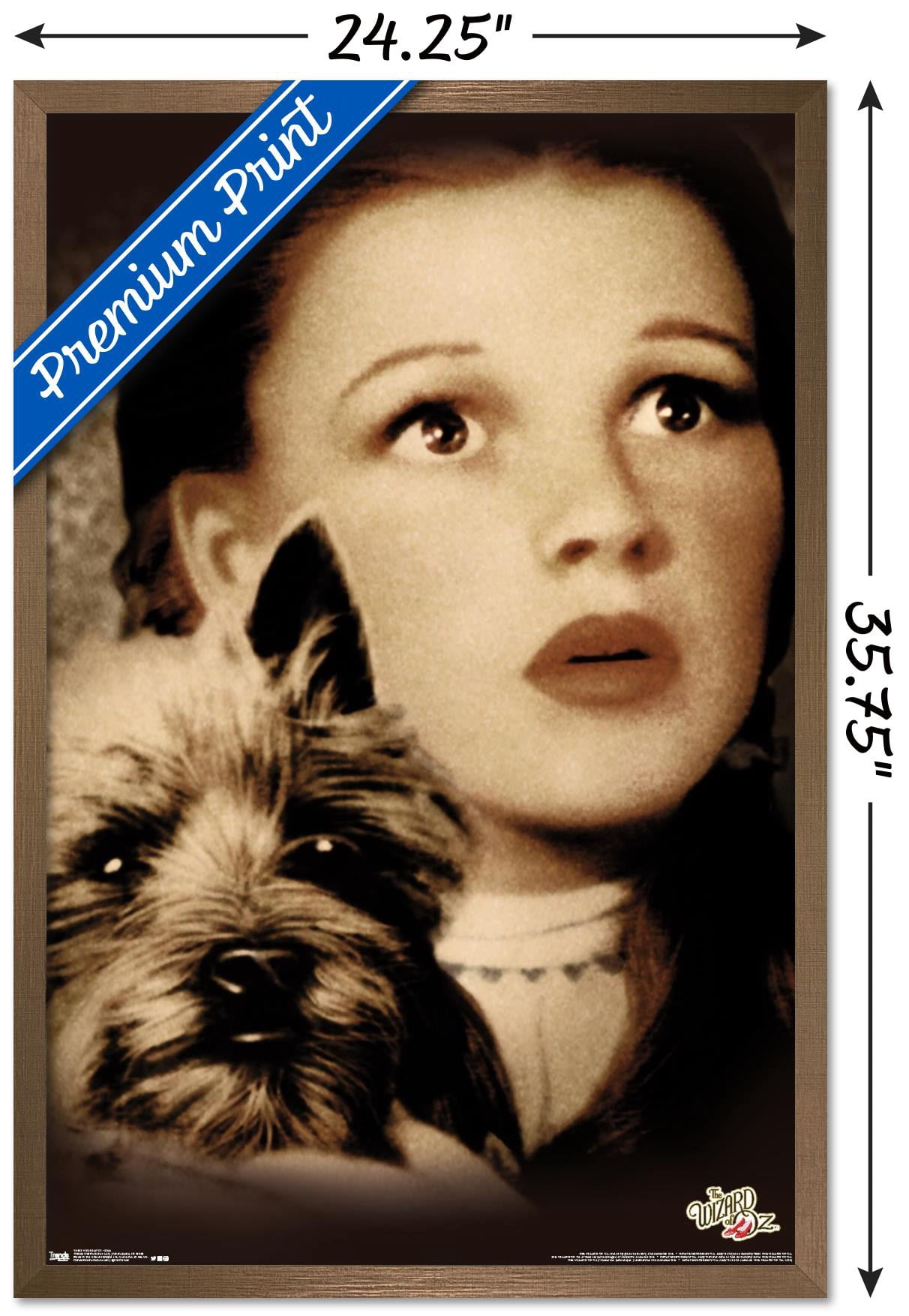 The Wizard Of Oz - Duo Wall Poster, 22.375" x 34", Framed