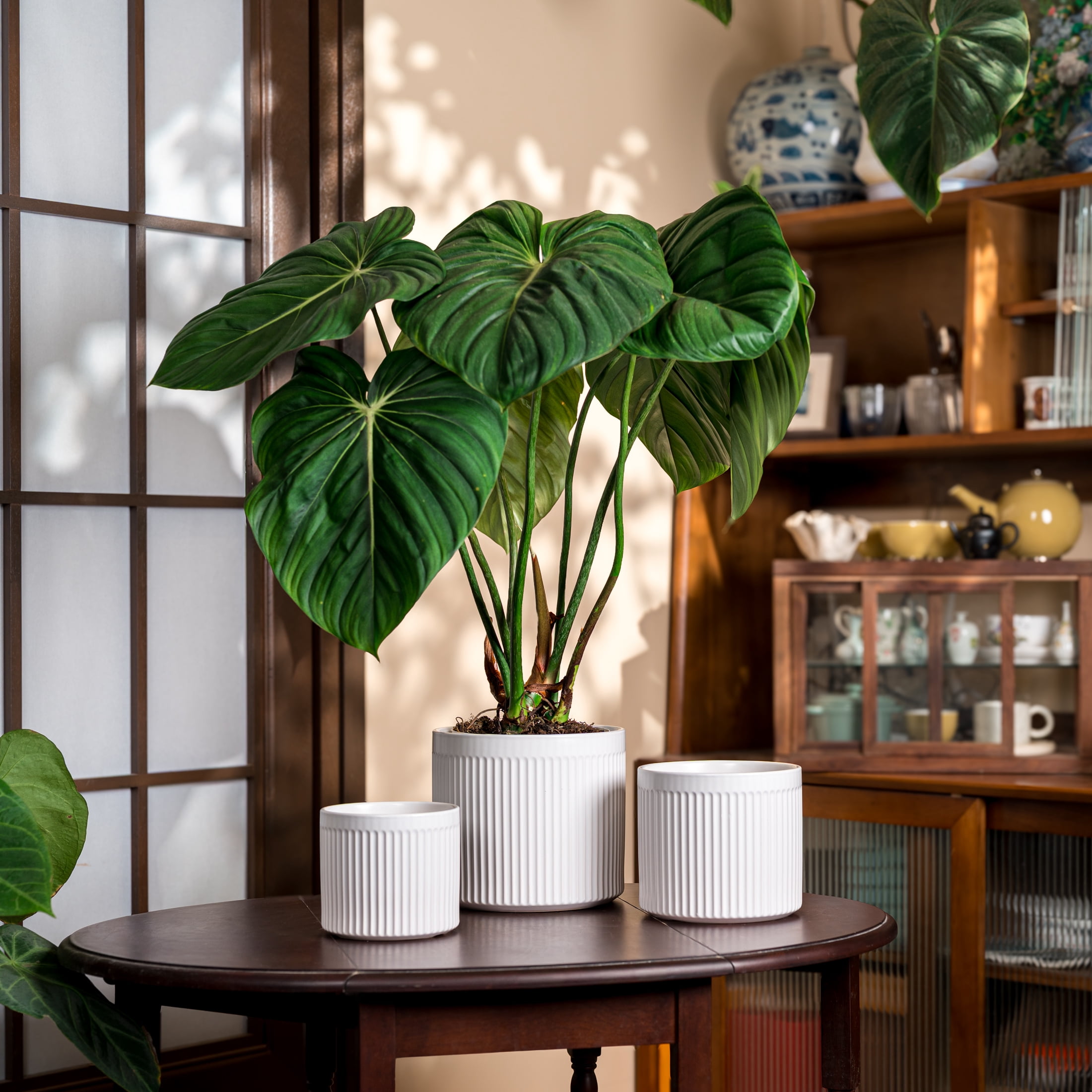 UMIAMOY Modern Cylinder Set of 3 Ceramic Flower Pots,5.7+7.0+8.6 inch Plant Pots with Drainage Holes and Saucer,Indoor Outdoor Planters for Home Patio Garden Decoration