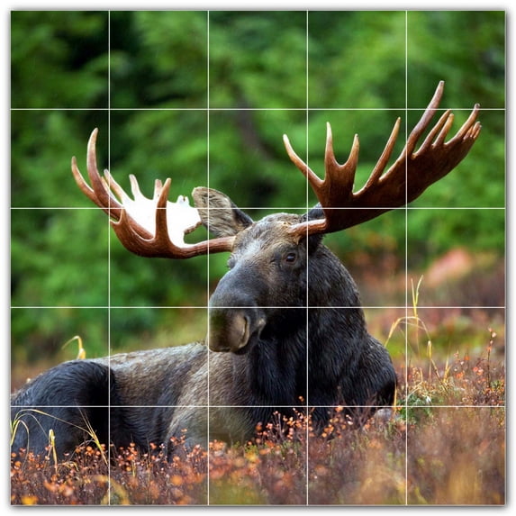 Picture-Tiles.com: Deer Ceramic Tile Wall Mural WAL500463-55XL. 60"W x 60"H using (25) 12" x 12" Ceramic Tiles-Satin Finish