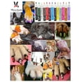 thumbnail image 4 of Warren London Pawdicure Dog Nail Polish Pen | Quick Dry - Water Based - Non Toxic | Red, 4 of 12