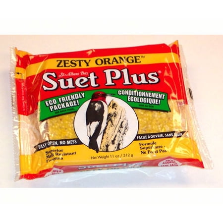 Zesty Orange Suet Cake