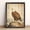 01, variant on 12x16in Framed Bald Eagle Wood Print, Wooden Frame & Backing, Rustic Coastal Wildlife Wall Art for Cabin Farmhouse Decor