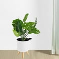 thumbnail image 4 of Round Pstic Flower Pot with Drainage Holes Floor Pnter, 4 of 8