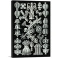 thumbnail image 1 of ARTCANVAS Gorgonian Corals Canvas Art Print by Ernst Haeckel - Size: 26" x 18" (0.75" Deep), 1 of 9