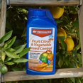 BioAdvanced Fruit, Citrus & Vegetable Insect Control, Concentrate, 32