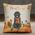 thumbnail image 2 of Happy Thanksgiving Newfoundland with Turkey Pumpkins Autumn Vibes Pillowcase Double Sided Newfie Dog Lover Gifts Pillow Case Covers - 12018, 2 of 3