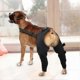thumbnail image 1 of Dog Hip Brace | Adjustable Leg Support for Dogs | Knee & Joint Protector, 1 of 5