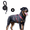 Black, variant on Levviye Dog Harness & Leash Set Reflective Adjustable Pet Vest with Foam Handle Durable Rope for Dogs Walking Training, Khaki L