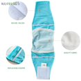 thumbnail image 6 of BadPiggies Male Pet Dog Belly Manner Band Wraps Nappies Puppy Cat Diaper Pants Physiological Sanitary Panties (S, Rose Red), 6 of 10