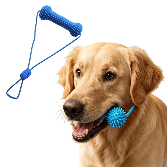 Dual-Action Canine Dental Prop, Reusable Dog Chew Toy & Teeth Brushing Aid for Dental Cleaning and Oral Care