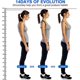thumbnail image 3 of Back Support Posture Corrector for Women Men Upper Back Support for Adults, 3 of 5