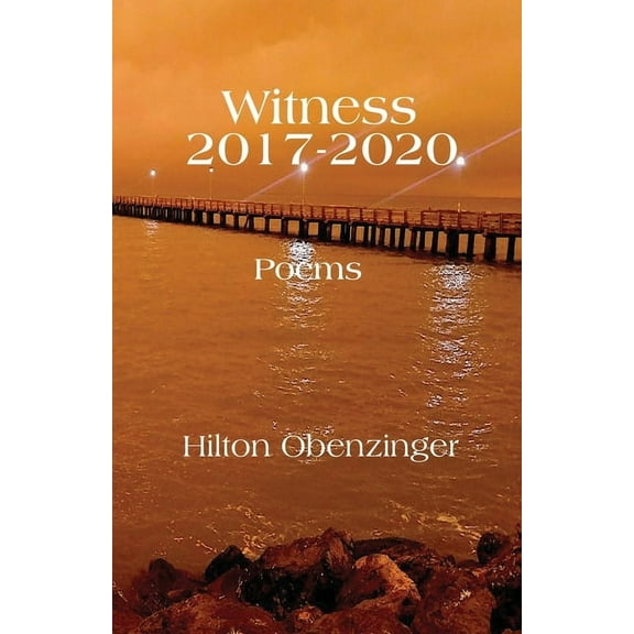 Witness 2017-2020, (Paperback)