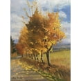 thumbnail image 2 of Strube, Ling 25x32 White Modern Wood Framed Museum Art Print Titled - Autumn Tints, 2 of 4