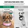 thumbnail image 5 of Iconic Pet 2-Pack Color Splash Stripe Non-Skid Pet Bowl, For Dog or Cat, Pink, 16 Oz, 2 Cup, 5 of 9