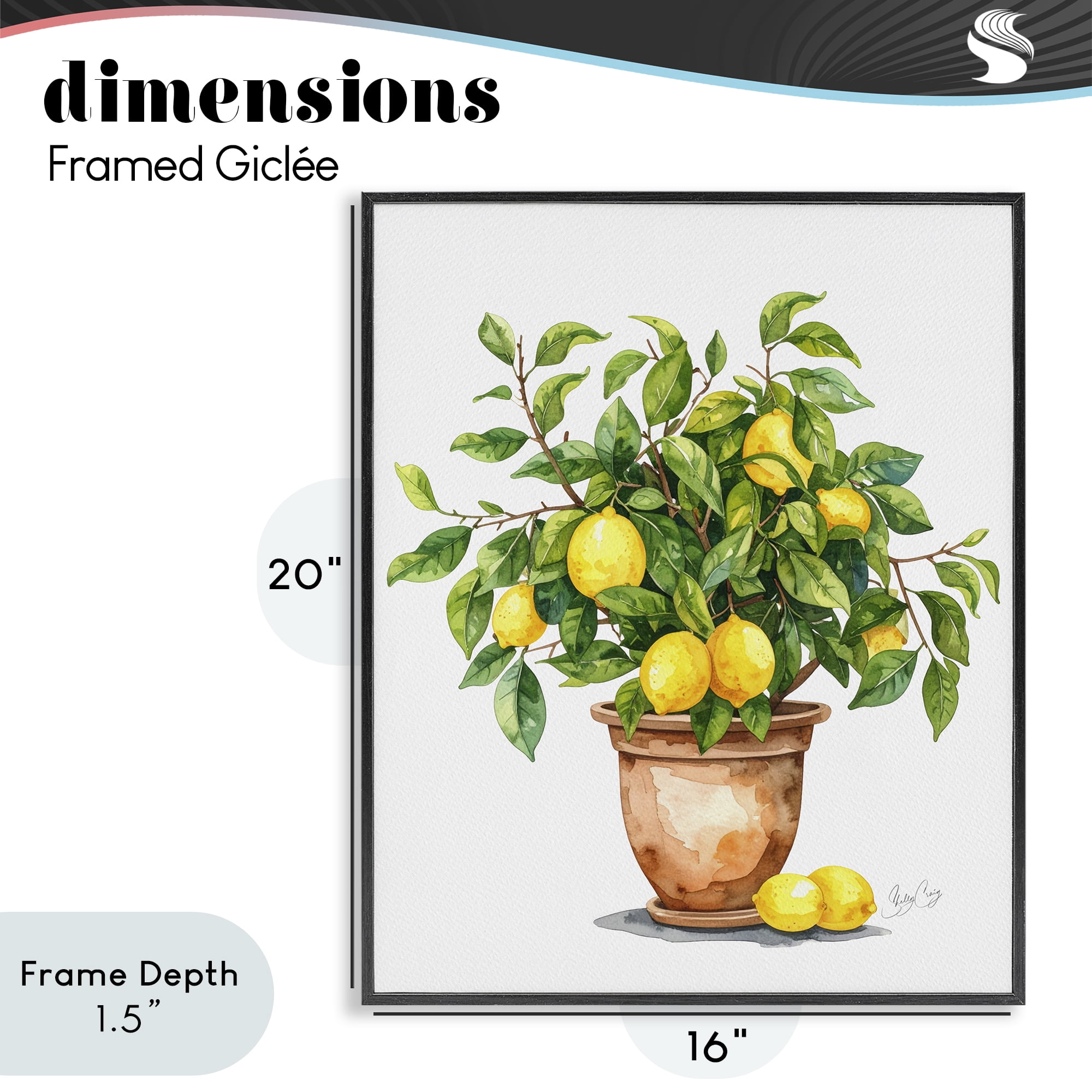 Stupell Industries Potted Lemon Tree Black Framed Giclee Art, design by Shelly Craig