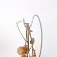 thumbnail image 3 of Inteprter Stainless Steel Banana Tree Stand Hook Rack Stable Creative for Home Decor Organizadores de utensilios de cocina, 3 of 6