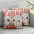 Cute Strawberry Rabbit Cushion Covers Set Animal Bunny Carrot Throw