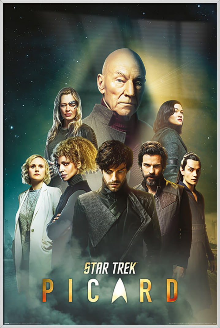 THE CAST Details about   STAR TREK: PICARD SIZE: 24" x 36" FRAMED TV SHOW POSTER 